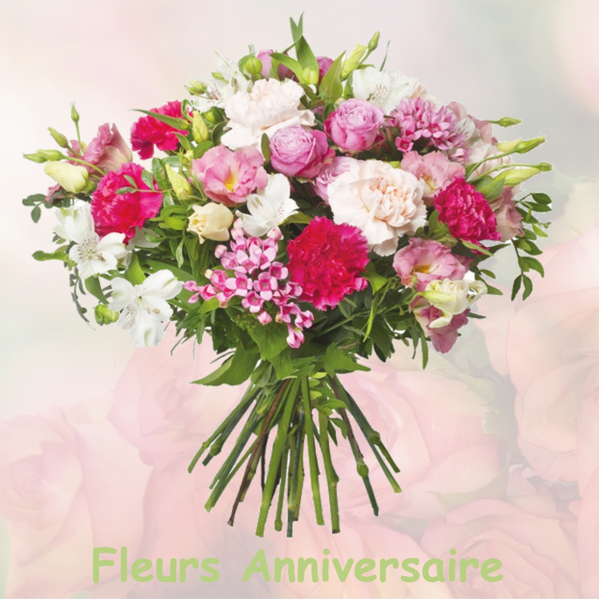 fleurs anniversaire SAINT-CIRGUE